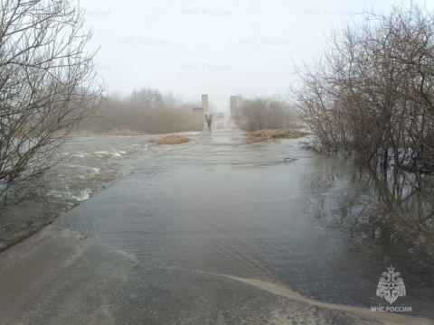 В Нижегородской области подтопило мосты и дворы из-за паводка