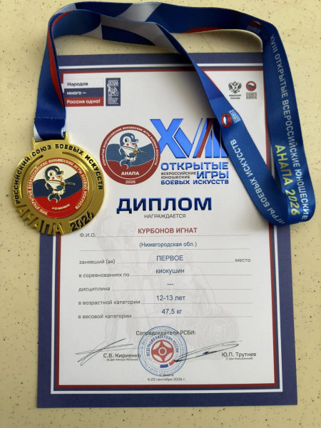 Золотую медаль завоевал нижегородский спортсмен на Всероссийских соревнованиях по всестилевому каратэ