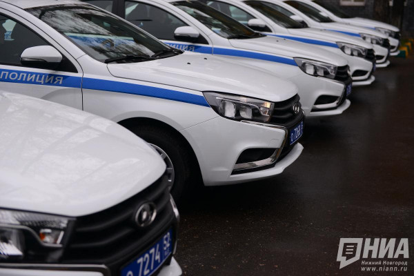 Уголовное дело возбудили после гибели пяти далматинцев в&nbsp;Дзержинске